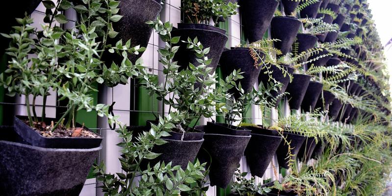 voorbeelden verticale tuin